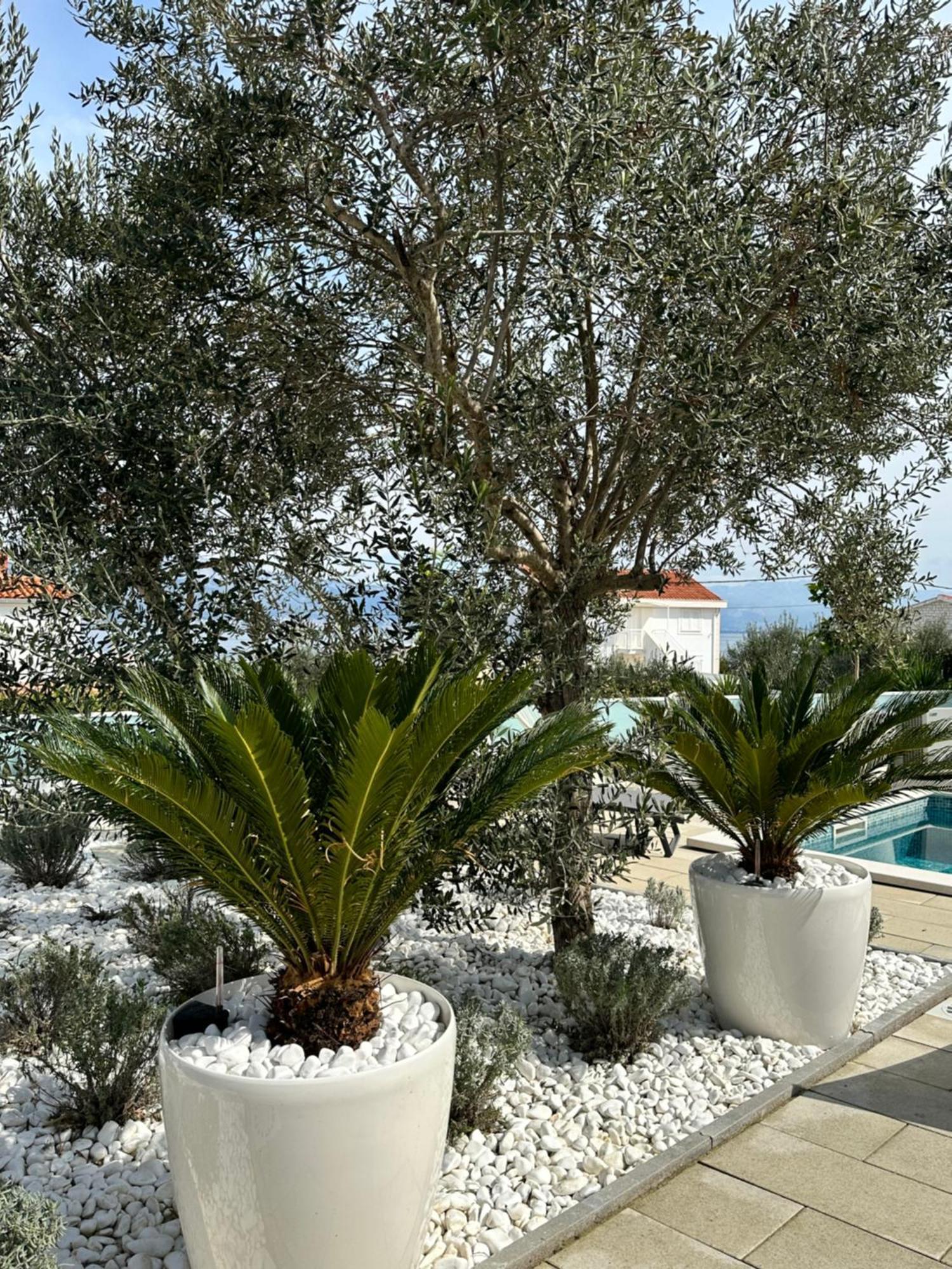Apartments Marina Trogir Exteriér fotografie